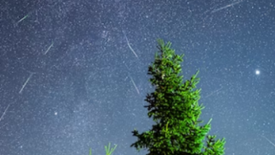Dazzling Geminids Meteor Shower 2023: Plan Your Perfect Stargazing Getaway Under Dark Skies! Dazzling Geminids Meteor Shower 2023: Plan Your Perfect Stargazing Getaway Under Dark Skies!