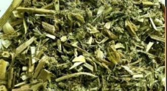 “Unlocking the Healing Potential: Cnicin from Blessed Thistle Spurs Nerve Regeneration” “Unlocking the Healing Potential: Cnicin from Blessed Thistle Spurs Nerve Regeneration”