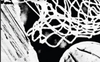 “Reflections on a Hard-Fought Battle: Iowa Prevails Over LSU in Historic Showdown” “Reflections on a Hard-Fought Battle: Iowa Prevails Over LSU in Historic Showdown”