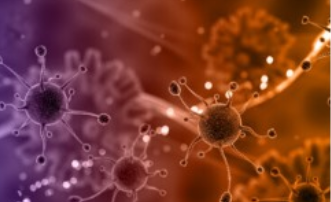 “Advancements in Pan-Spectrum Vaccine Development: Proactive Strategies for Future Pandemic Preparedness” “Advancements in Pan-Spectrum Vaccine Development: Proactive Strategies for Future Pandemic Preparedness”